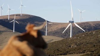 Formula E x Piedra Large wind farm