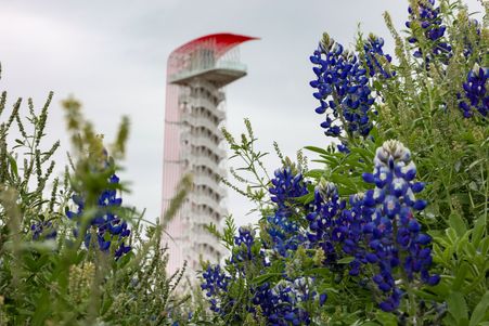 COTA IMAGERY 1